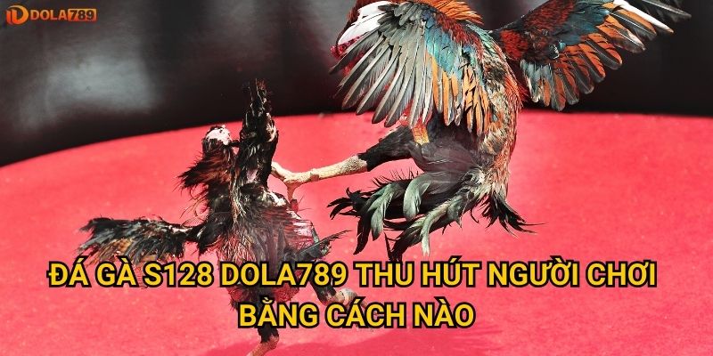 Đá gà S128 có phải lựa chọn tốt nhất tại Dola789? 2 Đá gà S128 Dola789 thu hút người chơi bằng cách nào?