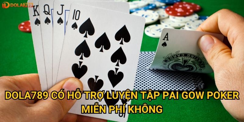 Dola789 có hỗ trợ luyện tập Pai Gow Poker miễn phí không?