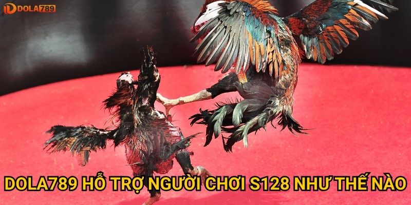 Đá gà S128 có phải lựa chọn tốt nhất tại Dola789? 3 Dola789 hỗ trợ người chơi S128 như thế nào?